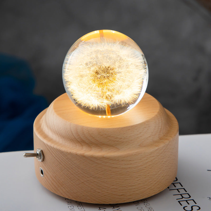 Decorative lamp with a clear glass sphere containing a dandelion on a wooden base.
