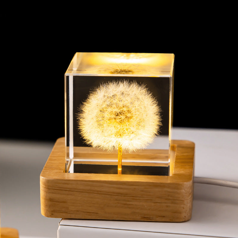 Decorative lamp with a dandelion flower inside a clear cube on a wooden base.