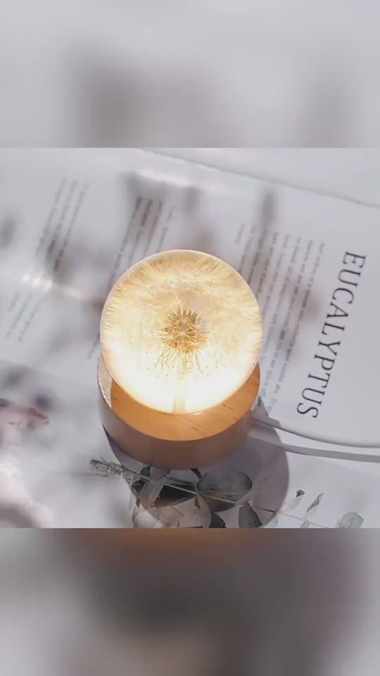 Decorative night lights in glass sphere shape with flowers inside.