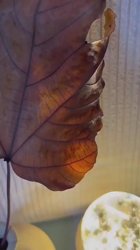 Woman showing how a floral night light inside glass sphere works.